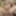 DeluxeDivas.com - Live Chat - Jessica Lynn