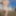 Denver Shoemaker Fun Bikini Gifs