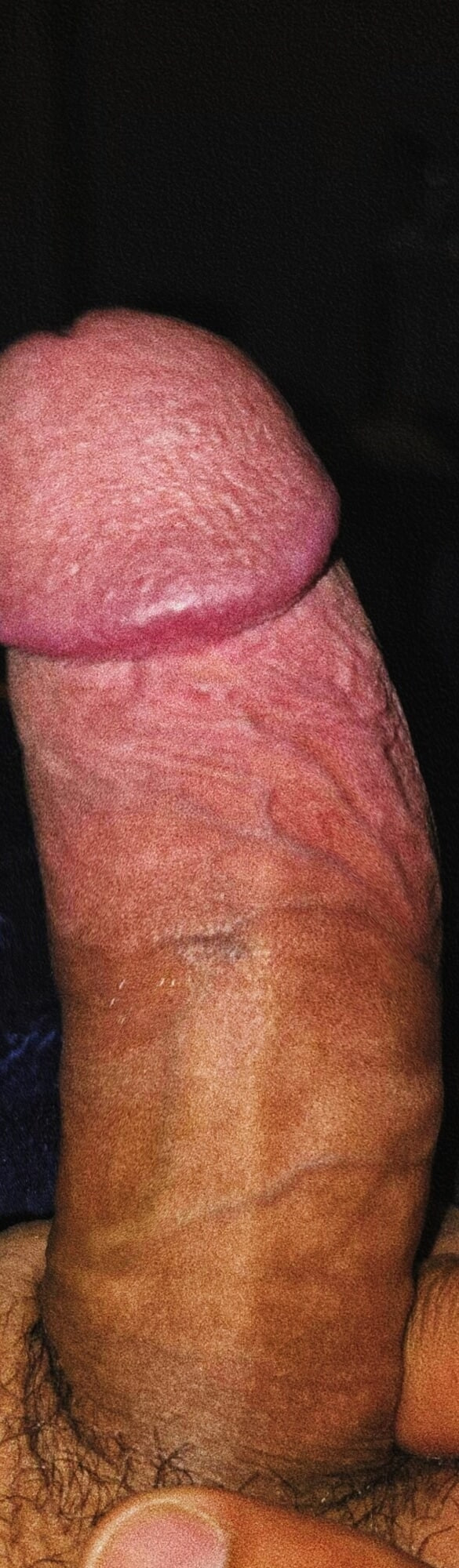 Latin cock #3