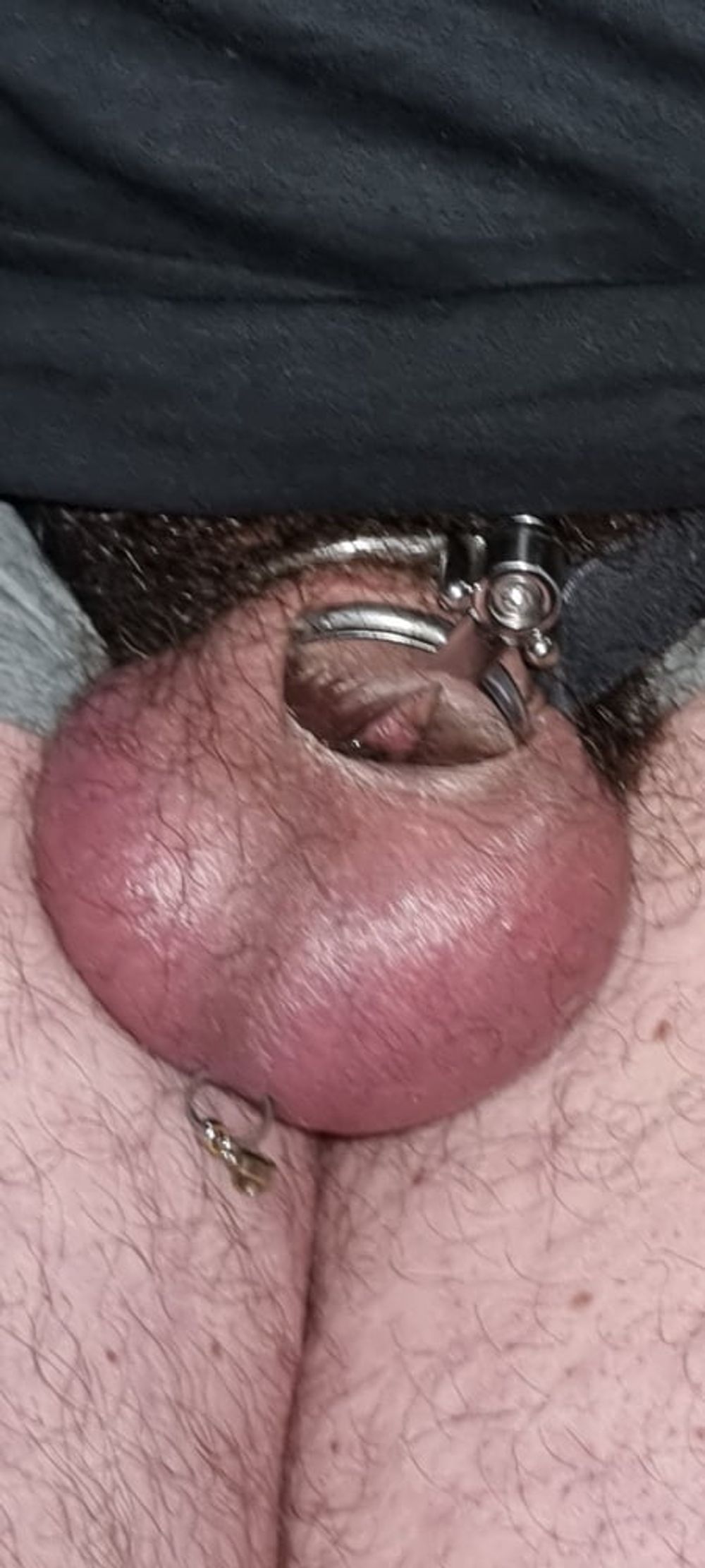 My new chastity cage after 2 days