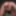 I will tease you in seamless tights! Best Shots from 532 Vid