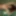 2019 St. Patric&#039;s - redhair + Green