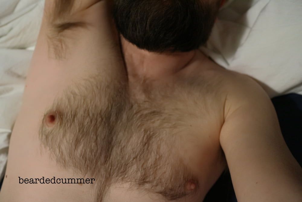 Hairy Bear shows off pits, chest, cock #6