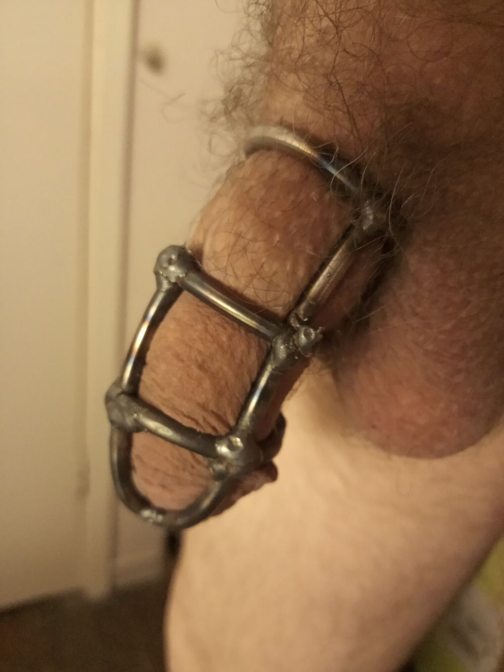 Cock cage #2