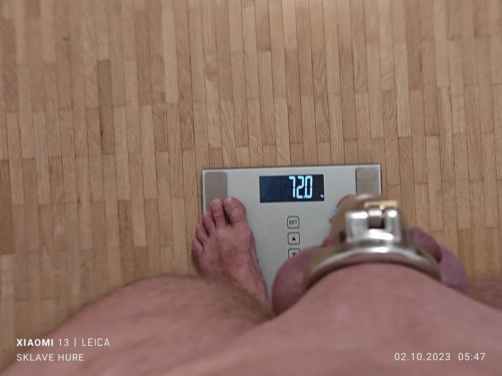 Weighing, Cagecheck, plugcheck Oktober 02, 2023 #6