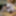 Sex Pics #24
