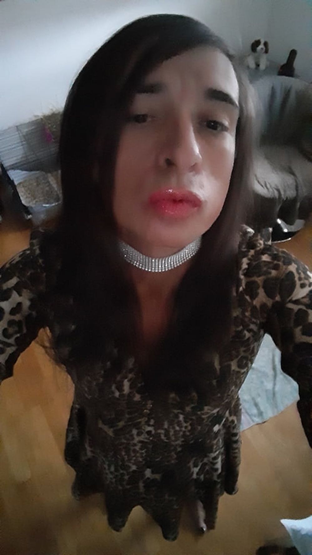 Sissy Tygra in leopard dress on 2019 octobre. #3