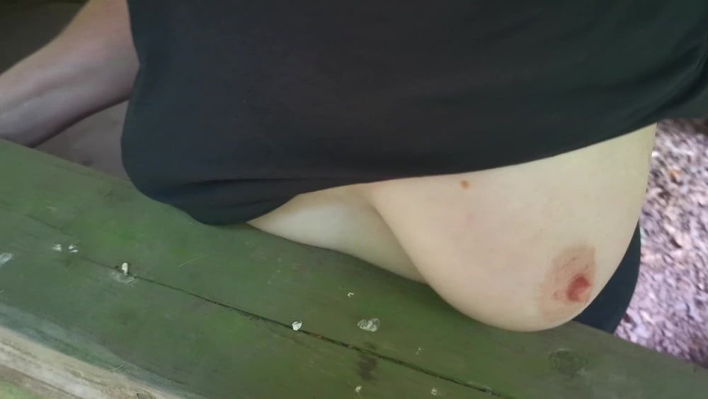Slapping tits and ass in picnic hut #15