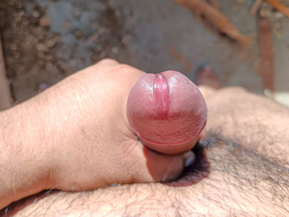 My Beautiful Erect Penis with 5 months without waxing #11