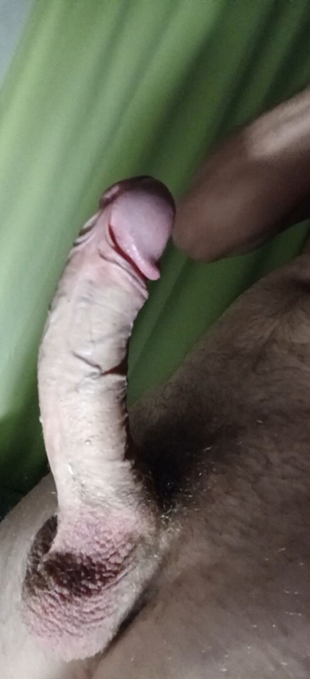 Some cock selfies haha