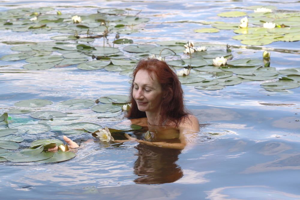 with water lily #56