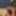 Haired Dick &amp; Balls Cockhead Foreskin  Masturbation  #53