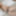 ONLY TARTS - Shock Content new scene PART 1 #22