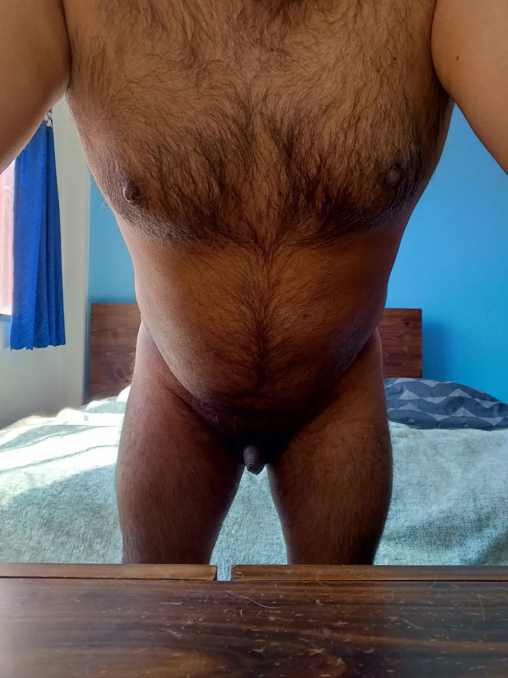 Oso peludo #4