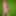 In front of the greenscreen  - 2021/09/18 #7