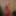 2019 New year in Mask #5