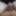 my tiny hairy dick before shaving