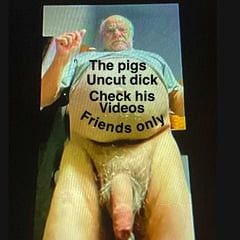 The pig