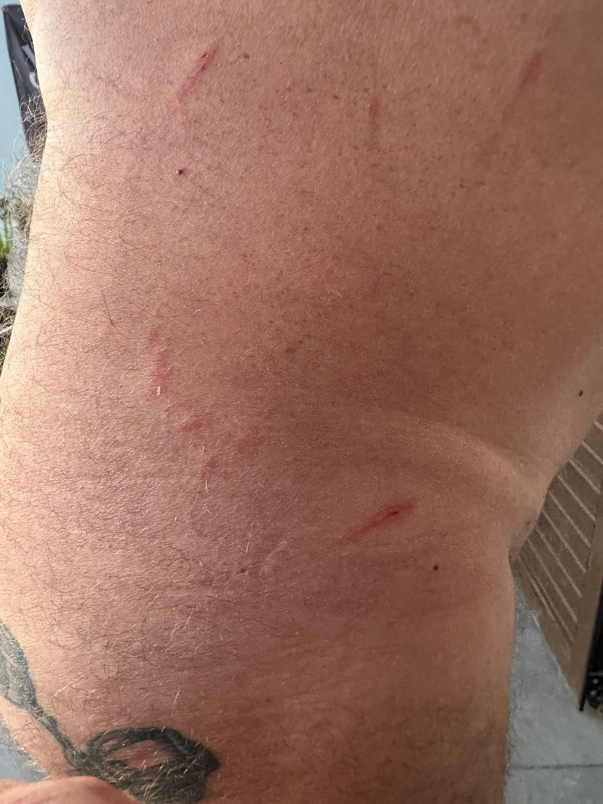 spanked into subspace 2