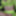 Green Mesh Lingerie #52