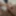 Small uncut cock