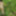 Young wife undresses and walks naked in the forest park #4