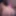 Amanda Chickens44644  Free Photos
