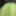 Lime spandex collection 2  #4