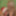 NORDICXMAS-MORE: https://xhamster.com/users/radicalpictures #6