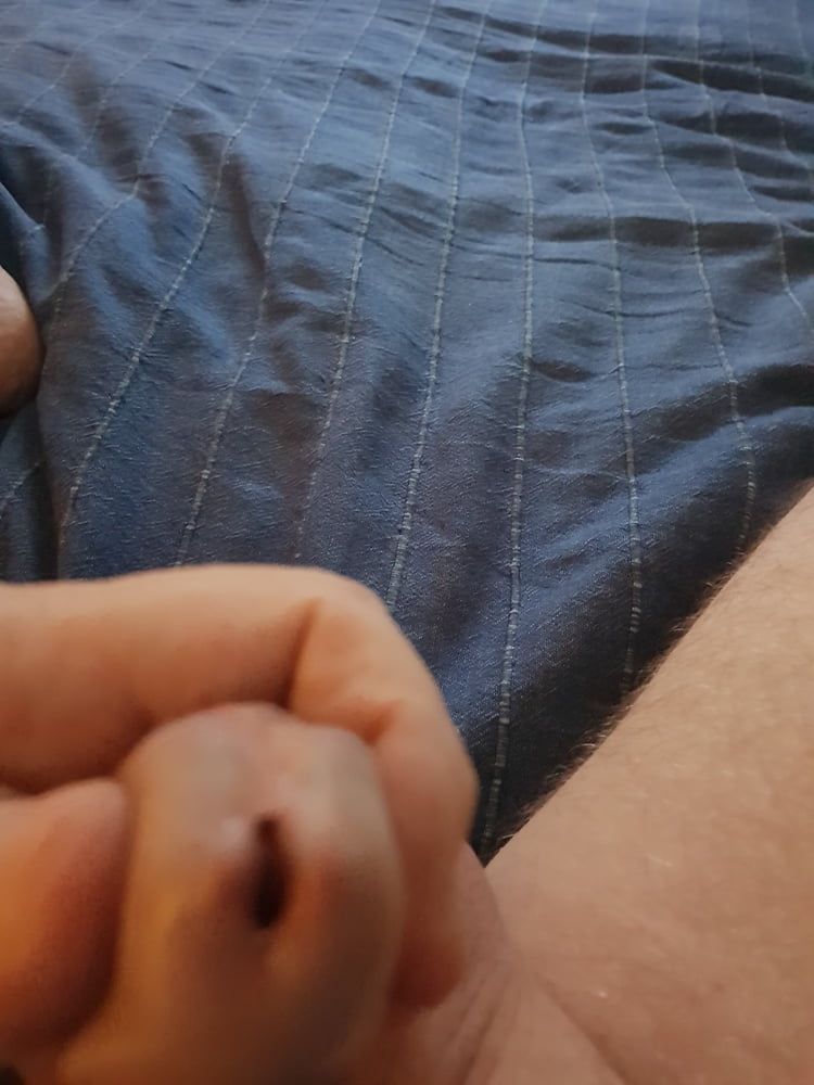 pictures of my cock #18