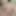 Ücretsiz VelmaWolf Fotoğrafları
