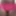 My Gallery
