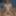 Faggot Andrew Brown Simply Nude and Exposed