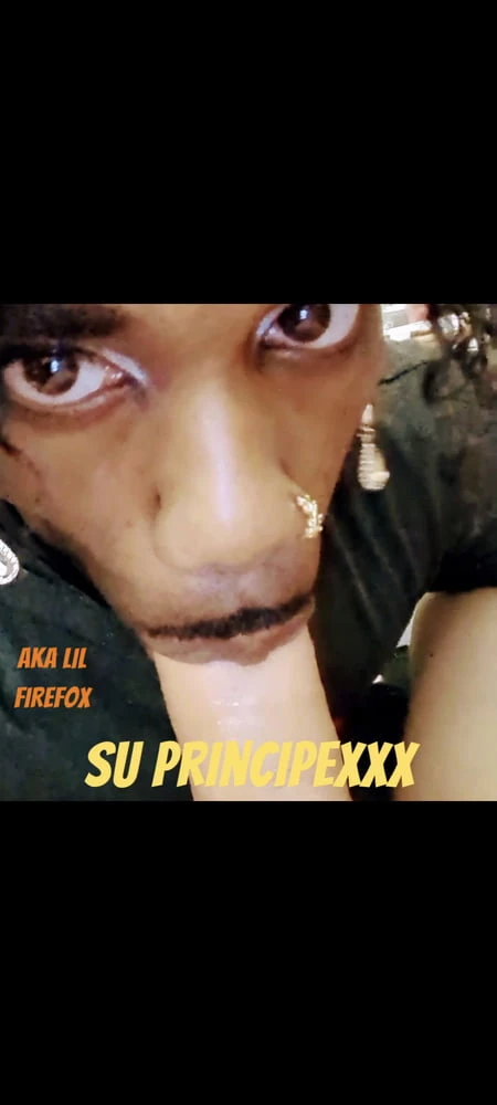Su_PrincipeXXX #2