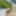 Teen boy (18) exposing himself on nudist beach #5