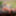 JOEYSTRANSFEETGIRLS: Itzel Saenz&#039;s First Footjob #4
