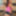 DeluxeDivas.com - Live Chat - Monika #19