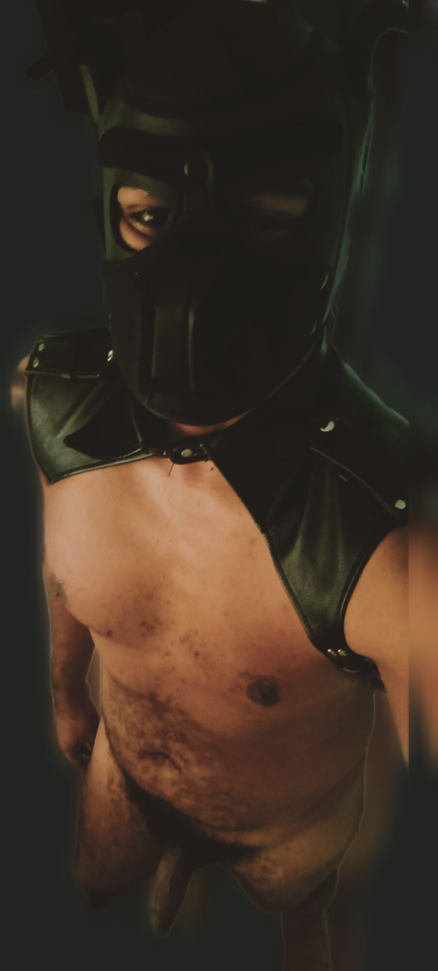 Brazilian Black Fucker  #8