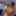 RAIN0062 Gina Varney vs Ivy Rain Titfight