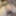 PVC Outfits