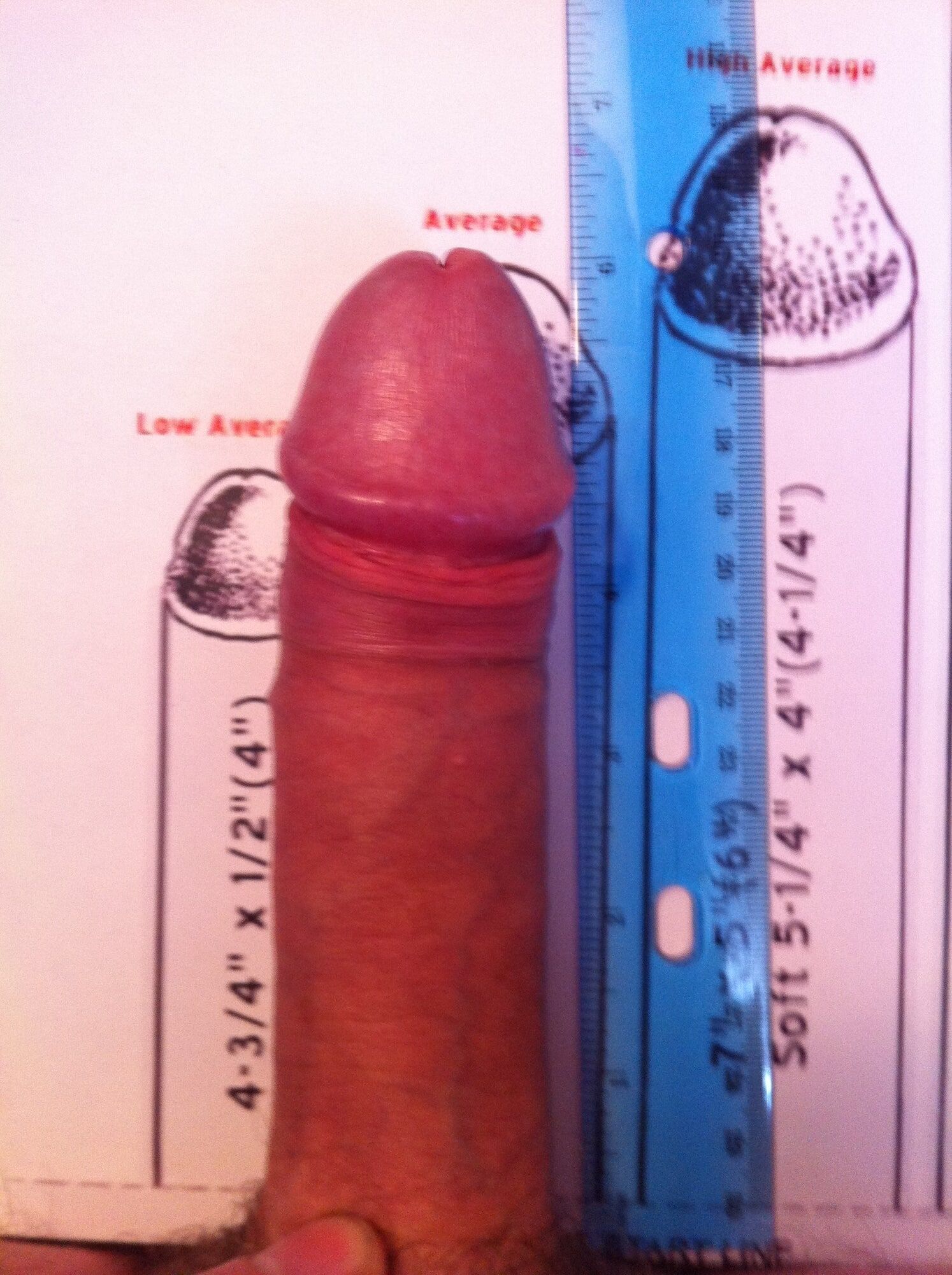 Measuring My Penis #13