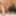 IN LOVE ( Exclusive video on Faphouse ) #16