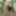 BIG TITS outdoor fuck couple