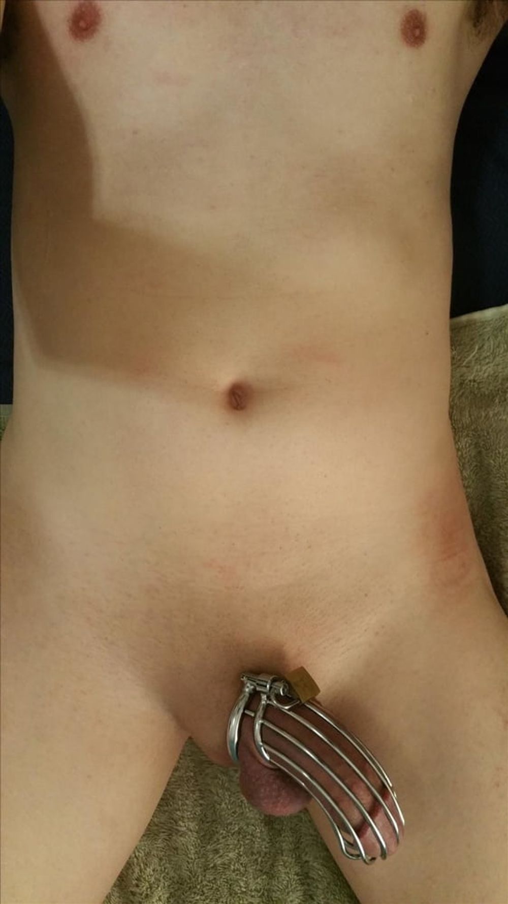 Cock in chastity #4