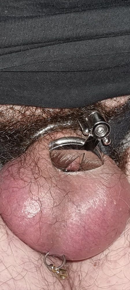 My new chastity cage after 2 days #28