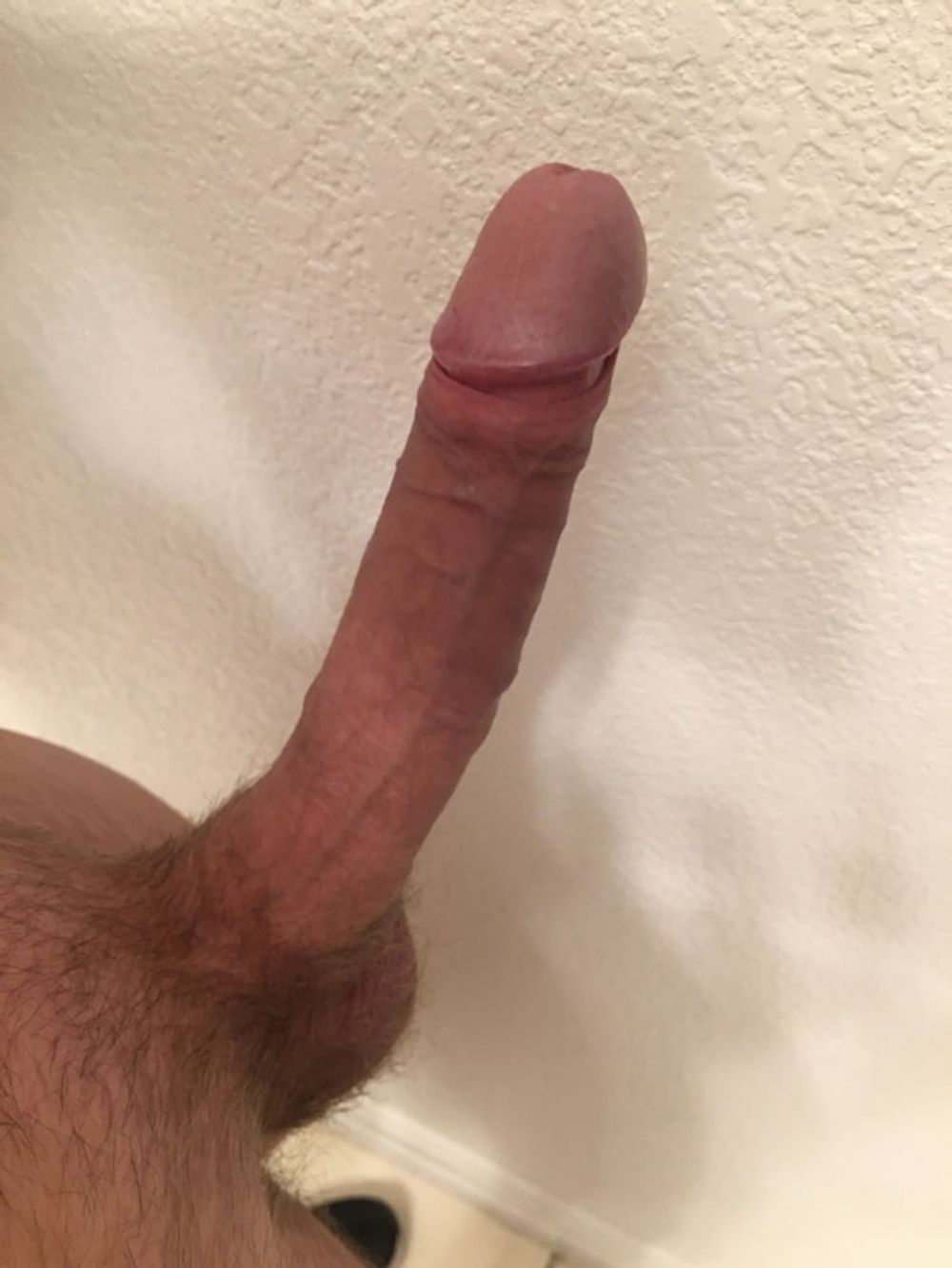 New Cock Pics October 2022