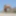 Sexy porn girl Petty on a nudist beach