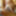 NEW 2019 Pics #49