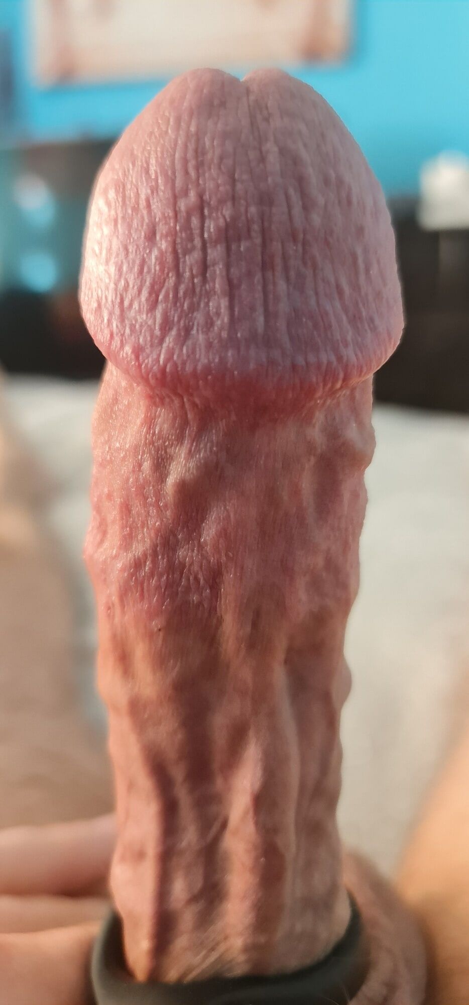 My veiny hard cock in close up #15