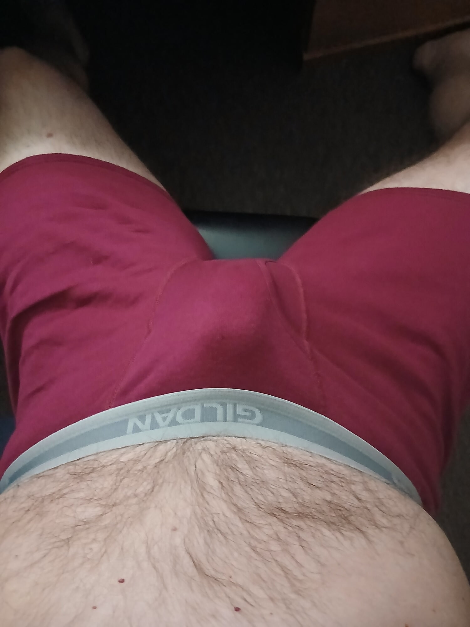 Gildan burgundy boxerbriefs 